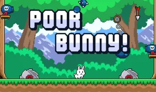 Poor Bunny